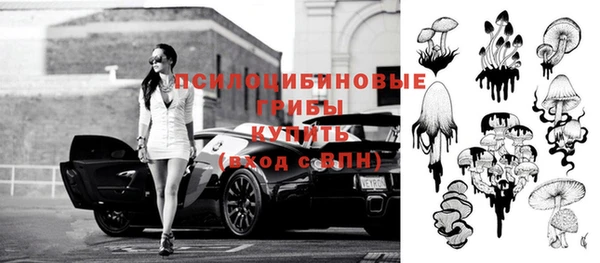 ПСИЛОЦИБИНОВЫЕ ГРИБЫ Нефтекумск