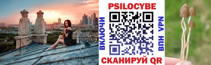 где продают мориарти клад Псилоцибиновые грибы Psilocybe Шимановск